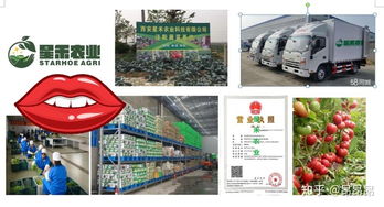 西安食材配送服務(wù)中心 專業(yè)一站式配送服務(wù)，助力餐飲與家庭食材供應(yīng)